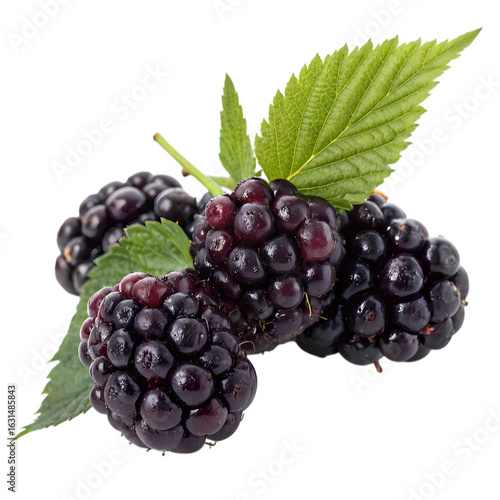 Ripe Blackberries: Close-up Photo of Fresh Berries with Leaves
