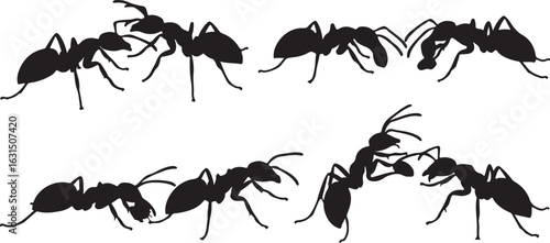 Eight Black Silhouette Ants in Different Poses on White Background insect insects
