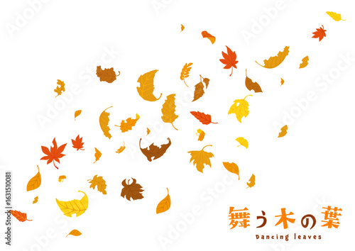 舞う木の葉3