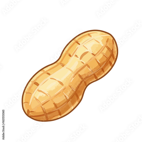Detailed peanut illustration showcasing its textured shell and organic shape in a visually appealing and appetizing manner for food enthusiasts