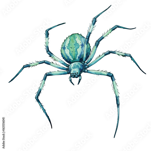 Detailed watercolor illustration of a blue-green spider with long legs and hairy texture, isolated against a white backdrop for creative projects and designs