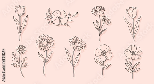 Vector illustration of collection of delicate floral and botanical line art drawings, showcasing various flowers and plants in a vintage, elegant style