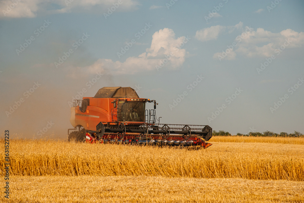Obraz premium a combine harvester is harvesting wheat in a field at sunset