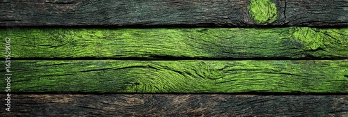 Wallpaper Mural Textured wooden planks with vibrant green highlights on a rustic surface in natural light Torontodigital.ca
