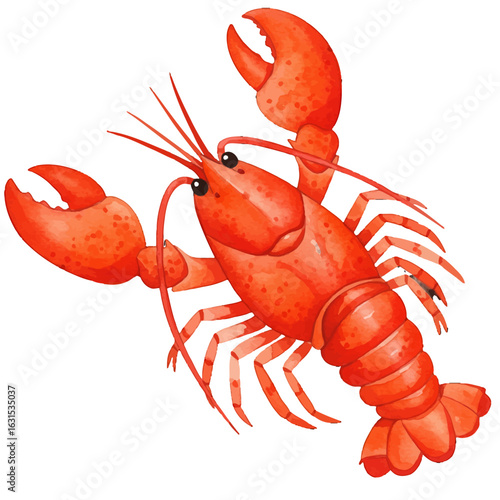 Watercolor illustration of a vibrant red lobster with detailed claws and legs, isolated against a clean white background, showcasing its intricate texture