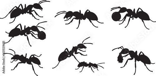 Six Black Silhouette Ants in Various Poses on White Background insect insects