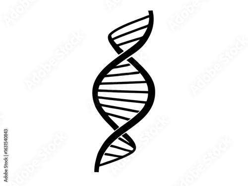 Depicts a dna double helix structure silhouette vector illustration