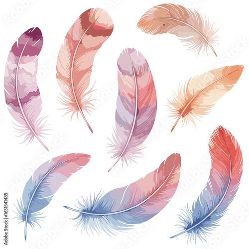 Watercolor Feather Collection Delicate Bird Plumes in Pastel Shades Artistic Vector Illustration Isolated Set on White Background