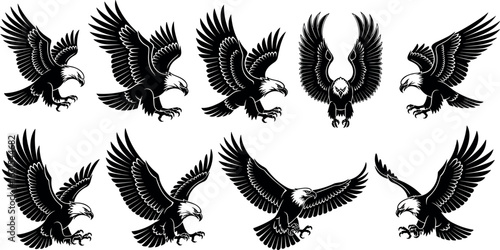 Eagle vector illustration set, majestic birds collection, flying raptor graphics, wildlife predator artwork, nature icon, Adobe Stock design asset