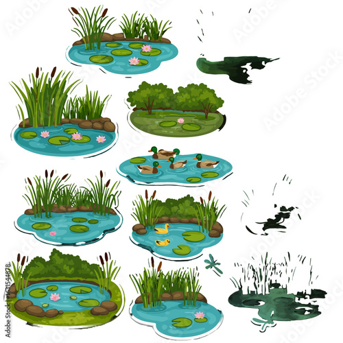 Cartoon ponds with lily pads, cattails and ducks creating a whimsical wetland ecosystem illustration for nature lovers