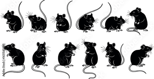 Silhouettes of black mice in various poses, vector illustration, perfect for science, education, design, biology, research, cartoon, and decoration