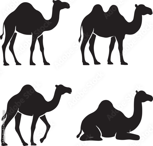 set of camels vector