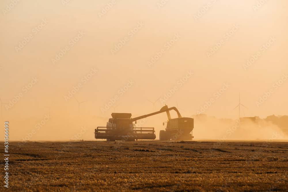Fototapeta premium a combine harvester pours grain into a truck in a field