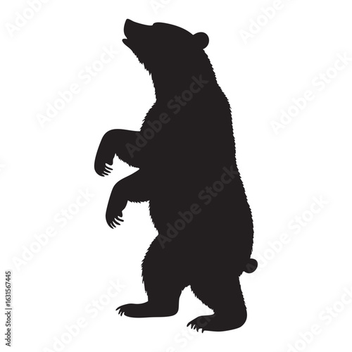 Grizzly bear standing on hind legs silhouette isolated on white background