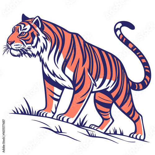 Illustration of a tiger walking on grass