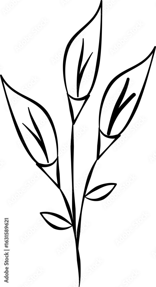 Obraz premium Handdrawn flowers Scribble