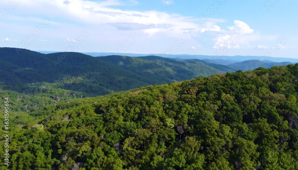 Fototapeta premium Lush mountain range view