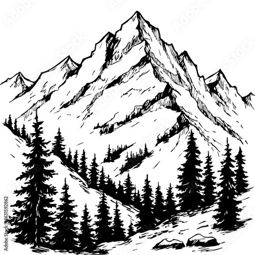 Mountain range peaks sketched with fine lines showcase mountain range landscape, with forest trees in foreground. Mountain range scenery emphasizes beauty of nature, outdoors and adventure.