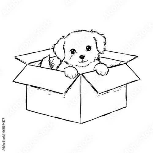 Cute puppy in box. A charming puppy sits nestled inside cardboard box, expressing playful innocence and endearing charm. This delightful image of puppy in box encapsulates simple joy, warmth,