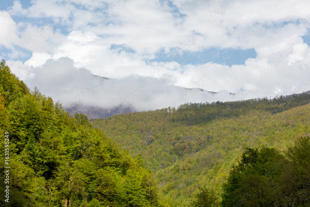 Fototapeta premium A mountain range with a cloudy sky and a few trees