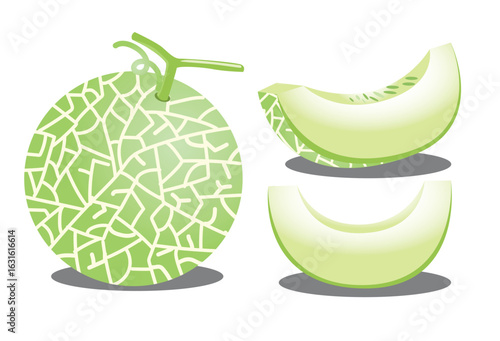 Vector illustration of a whole green melon with a cut slice in front, isolated on white background for food or design use.