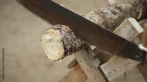 Two people cut wood with crosscut saw, close up. Competition. German tradition