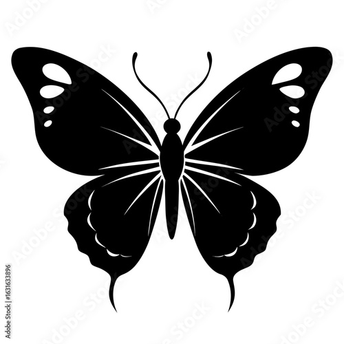 butterfly silhouette vector