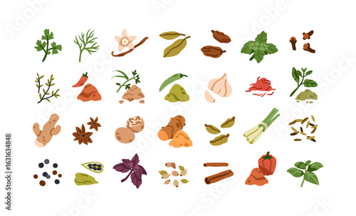 Herbs and spices set. Natural seasonings, condiments and aromatic culinary ingredients, flavorings. Vanilla, paprika, chili and cinnamon icons. Flat vector illustration isolated on white background