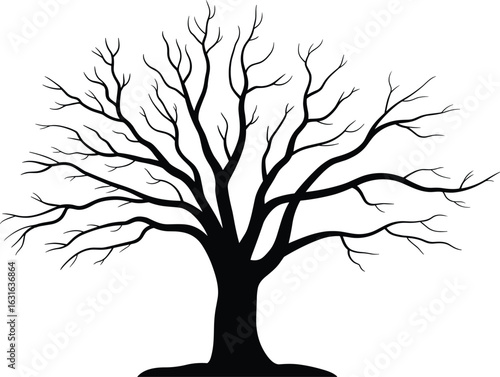 Bare tree silhouette, winter tree vector, leafless branches clipart, nature graphic design, isolated black tree, seasonal plant shape