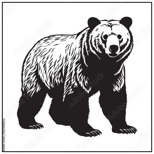 Vector art of a detailed illustration of a brown bear isolated on white background