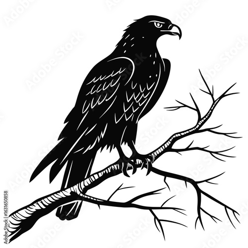 Black and white illustration of an eagle perched on a branch