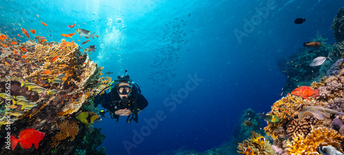 Photos Scuba Diver Swimming in Deep Sea with Sunrays and Beautiful Coral Reef with Colo