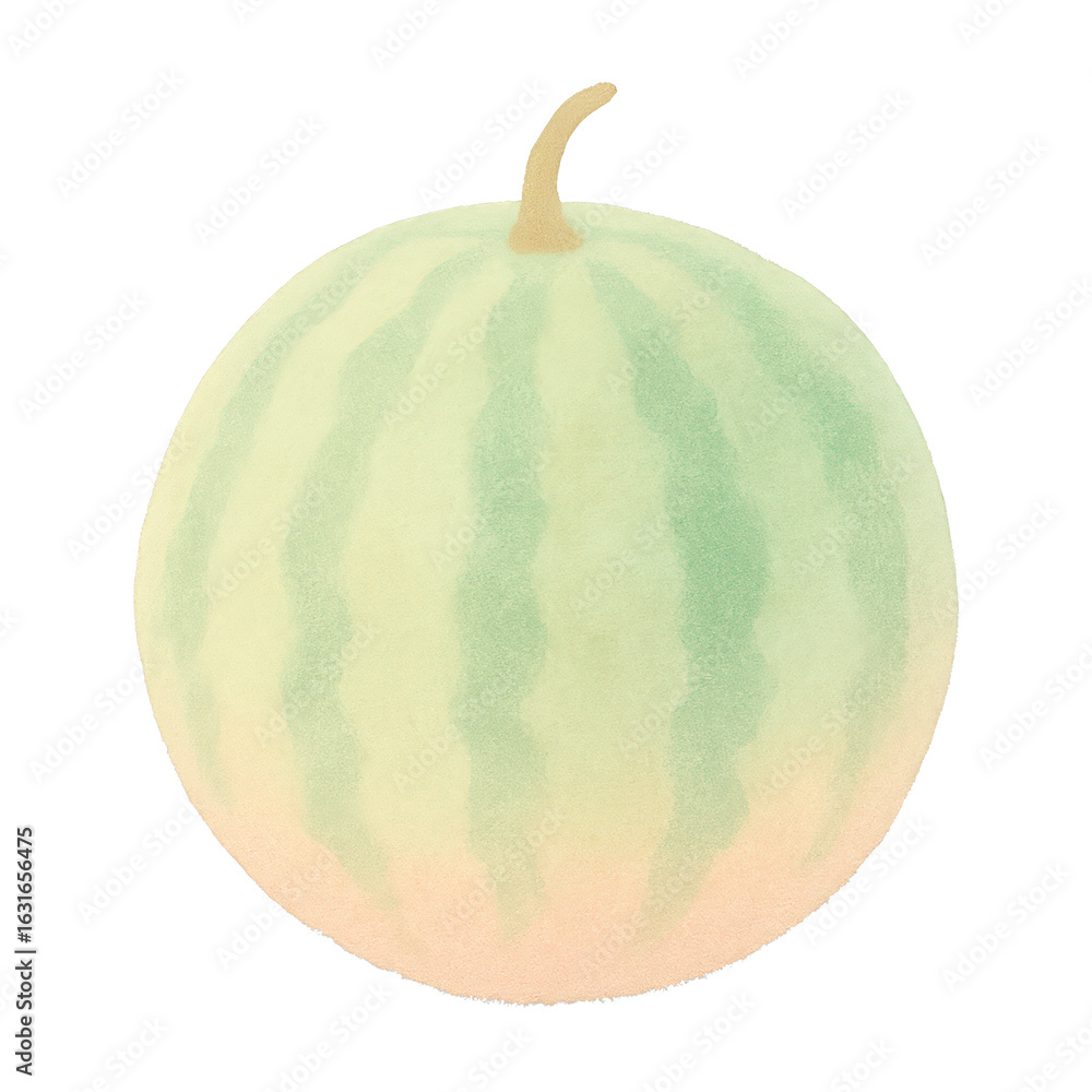 Fototapeta premium PNG Watercolor watermelon fruit illustration.
