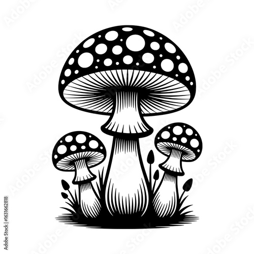 Group of three fly agaric mushrooms, black and white line art illustration.  Spotted toadstool fungi in grass, vector graphic for nature, foraging, or psychedelic themes. Detailed, vintage style botan