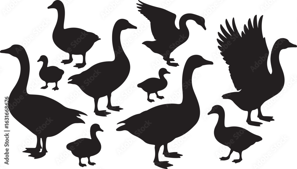 Obraz premium Geese family silhouette collection. A vector set of wild goose, gander, and gosling icons in various poses, isolated for design.
