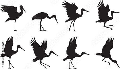 Set of crane bird silhouettes in various poses of motion, taking off and flying. Vector graphic collection.