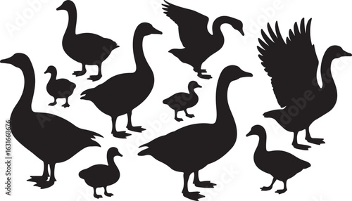 Geese family silhouette collection. A vector set of wild goose, gander, and gosling icons in various poses, isolated for design.
