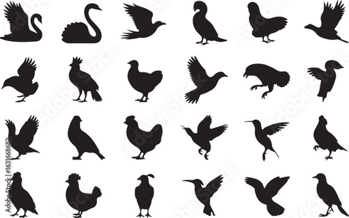 Vector set of black bird silhouettes. Collection of animal icons featuring swan, chicken, dove, and hummingbird shapes.