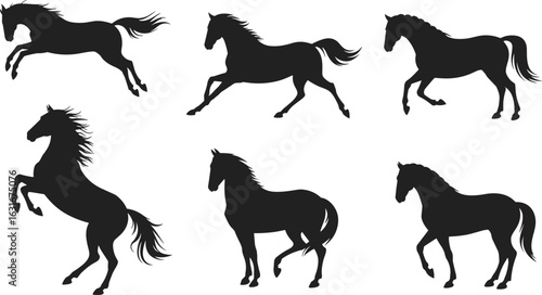 Set of six black horse silhouettes in various poses, running, jumping, and standing, vector animal illustration on white background