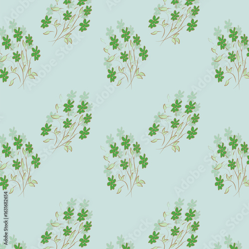 Wild flowers vector collection. herbs, herbaceous flowering plants, blooming flowers, subshrubs isolated on white background. Hand drawn detailed botanical vector illustration.