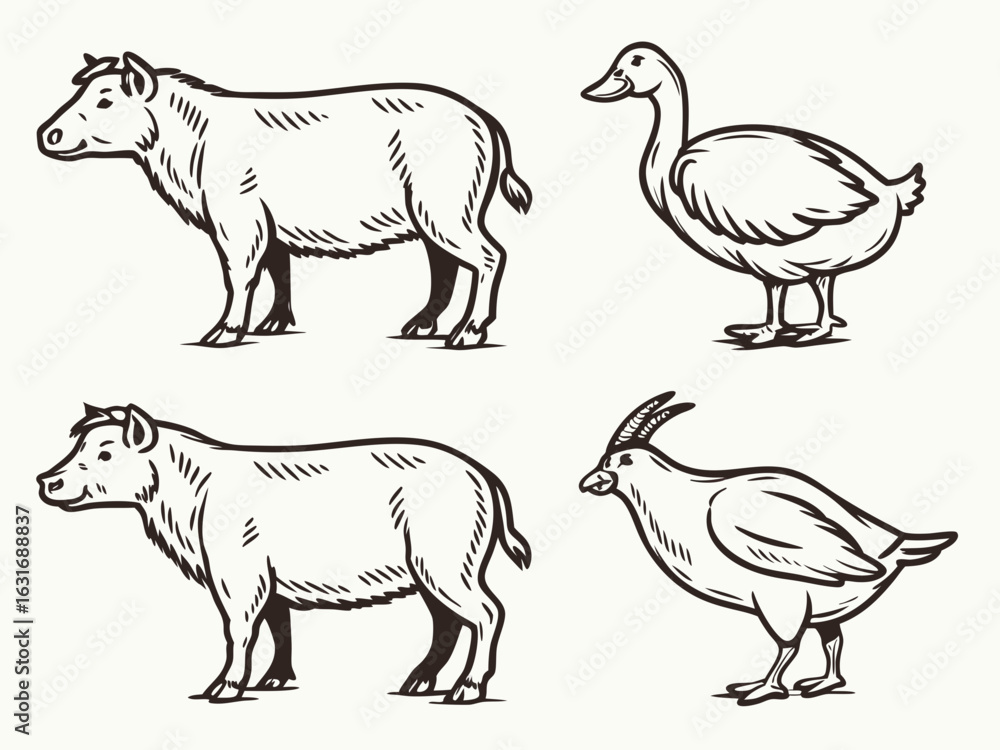 Fototapeta premium A set of hand-drawn farm animal illustrations in a vintage sketch style. Includes cow, duck, and quail for agricultural concepts.
