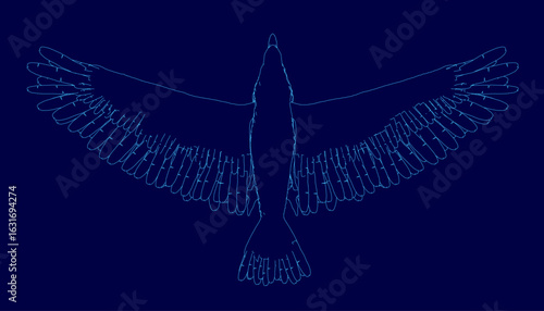 A majestic blue eagle soars with wings fully extended, its feathers outlined in white for striking contrast. The bird's powerful silhouette stands out against the deep sky.