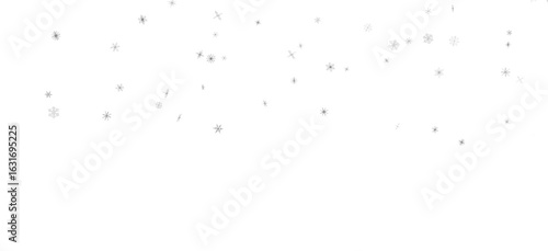Snowflake Ballet: Exquisite...