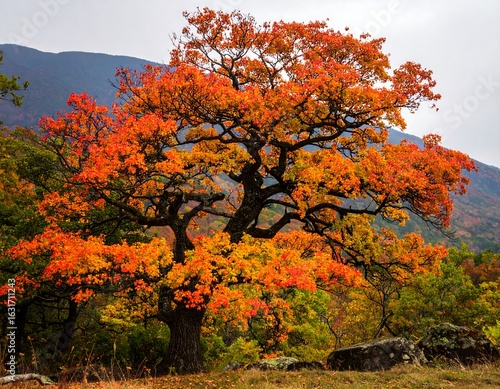 Autumn tree landscape (1)