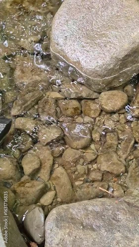 Crystal clear water of a Carpathian stream gently running over stones. Close-up of mountain riverbed with natural texture and motion.
