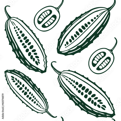 Seamless pattern of bitter melon gourd vegetable illustration isolated on white background