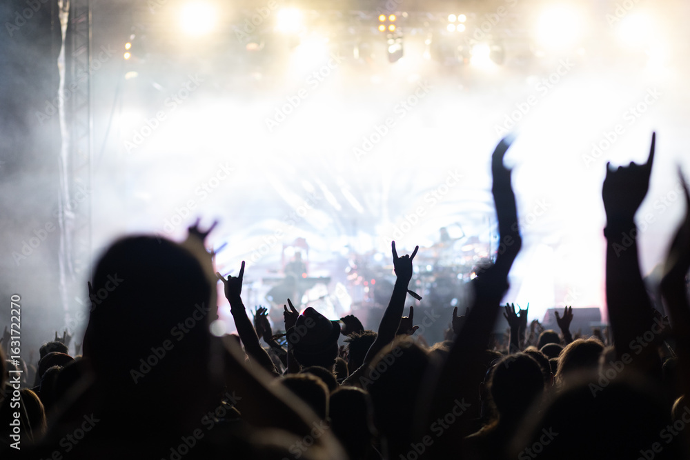 Fototapeta premium crowd having fun at concert summer music festival
