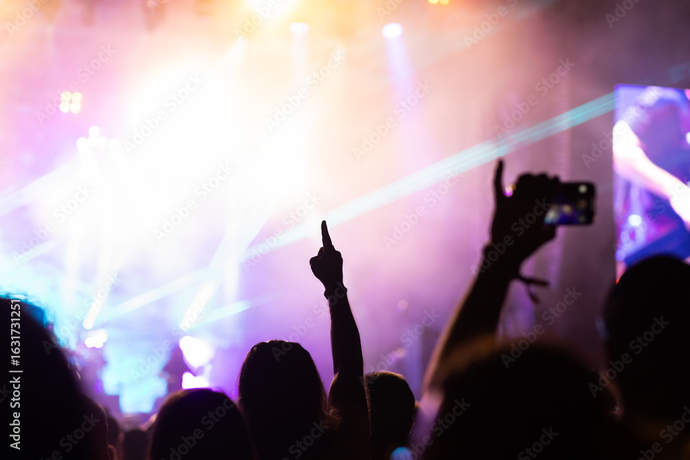 Obraz premium crowd having fun at concert summer music festival