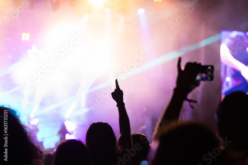 Wallpaper Mural crowd having fun at concert summer music festival Torontodigital.ca