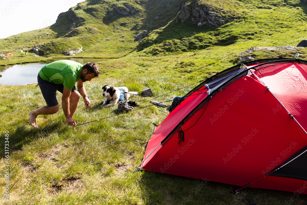 Fototapeta premium camping with dog and red tent in high mountains